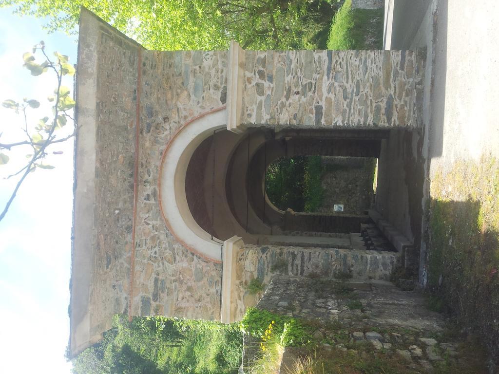 Gite La Fontaine Corse Loreto-di-Casinca Habitación foto